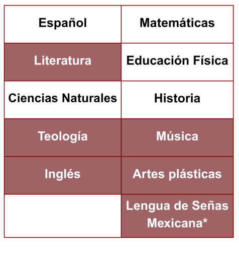 Plan de estudios kinder