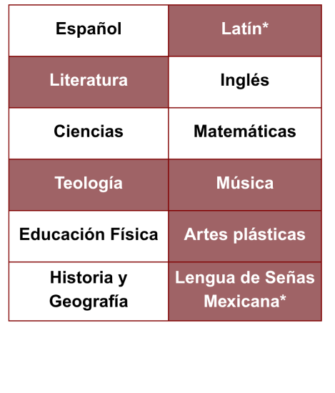 Plan de estudios primaria