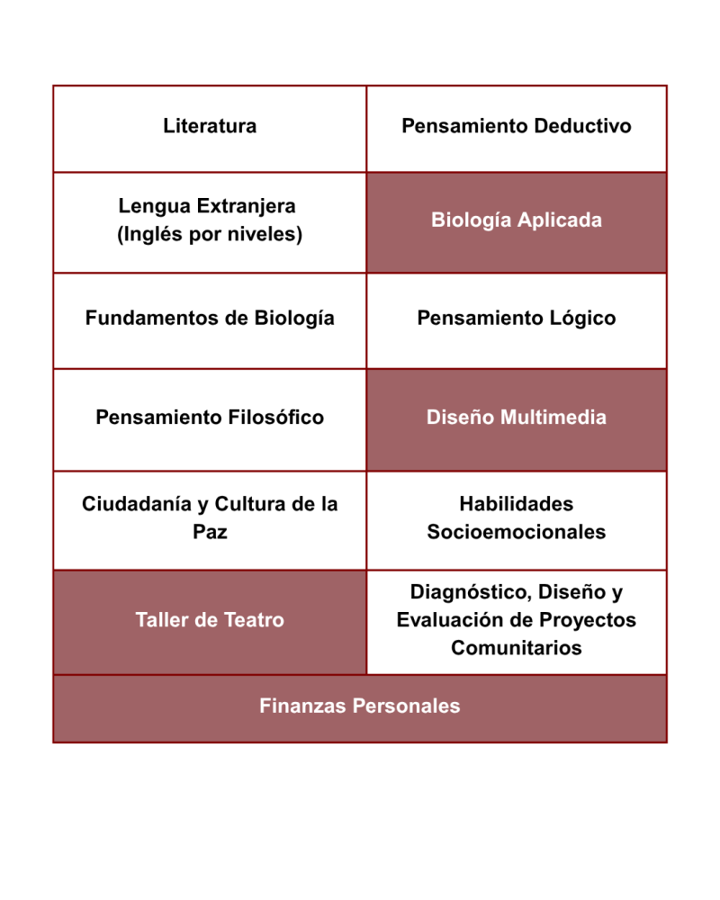 Segundo Semestre