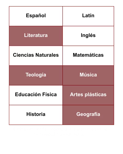 asignaturas-materias-primaria